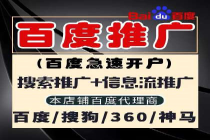 百度搜索推广案例集锦：实战技巧与策略解析